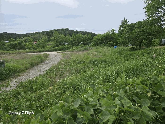 2025타경423 법원경매 사진6 | 충남 부여군 공장용지 경매