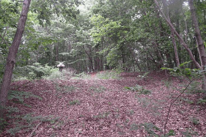 2025타경20326 법원경매 사진2 | 충남 부여군 임야 경매