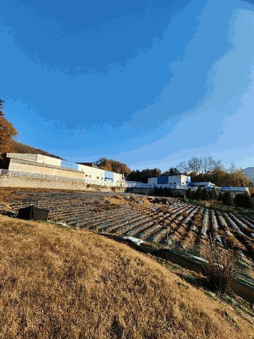 충청북도 음성군 생극면 오생리 355 법원경매 물건 대표사진