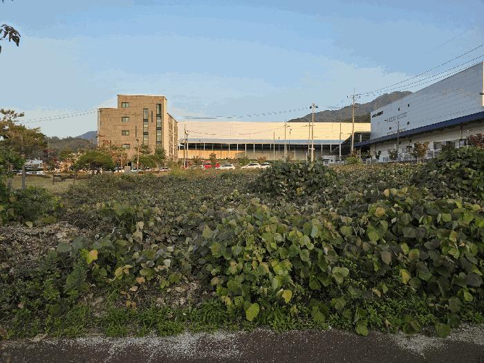 충청북도 충주시 용탄동 1179 법원경매 물건 대표사진