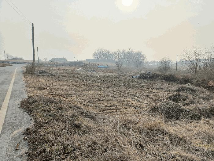 충청남도 천안시 서북구 입장면 유리 248 법원경매 물건 대표사진