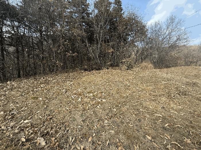 2025타경30737 법원경매 사진17 | 충북 음성군 상가,오피스텔,근린시설 경매