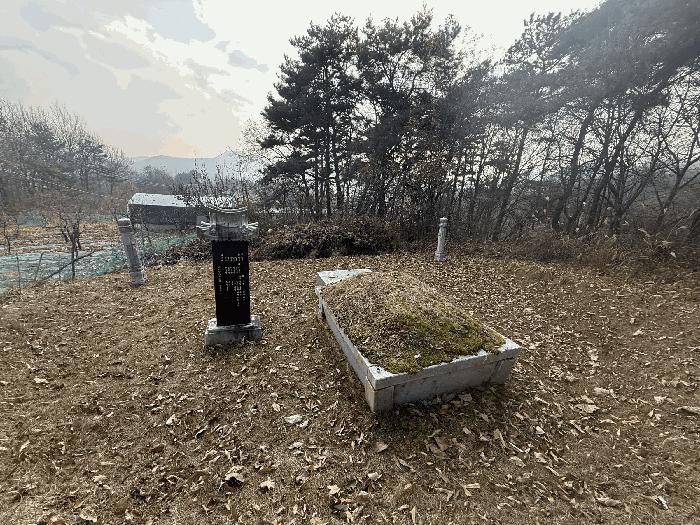 2025타경30737 법원경매 사진3 | 충북 음성군 상가,오피스텔,근린시설 경매