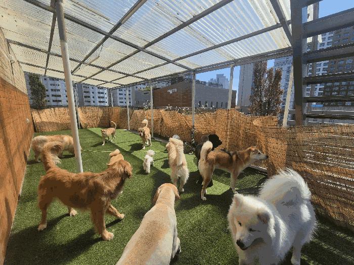 2025타경5194 법원경매 사진3 | 부산 해운대구 근린상가 경매