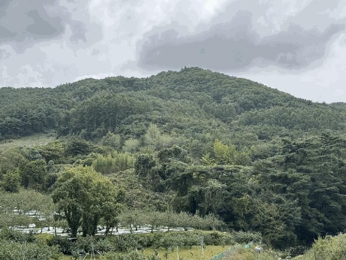 충북 충주시 수안보면 사문리 209 전 사진 2
