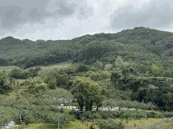충청북도 충주시 수안보면 사문리 262 법원경매 물건 대표사진