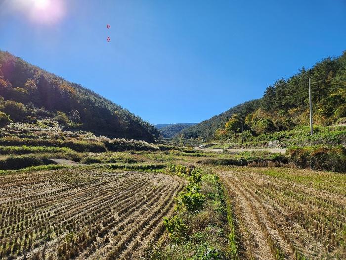 2024타경5850 법원경매 사진3 | 경남 남해군 임야 경매
