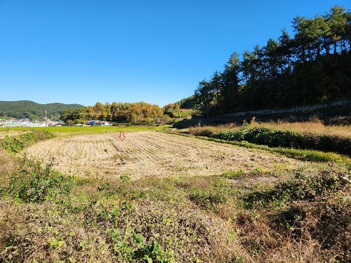 2024타경5850 법원경매 사진6 | 경남 남해군 임야 경매