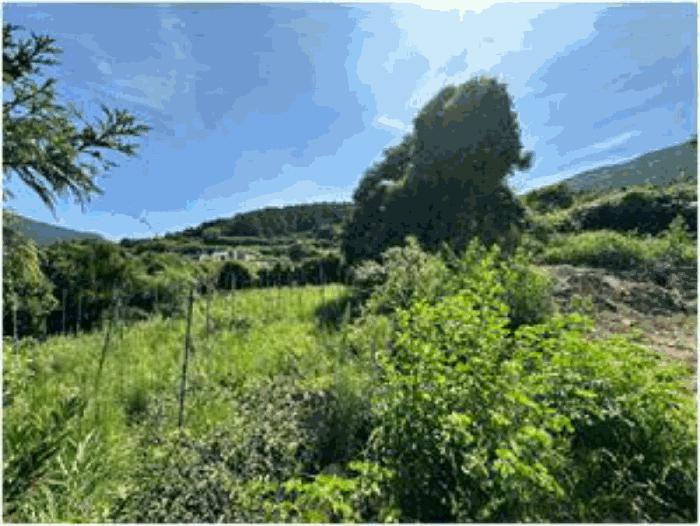 2025타경1344 법원경매 사진6 | 전남 완도군 기타 경매
