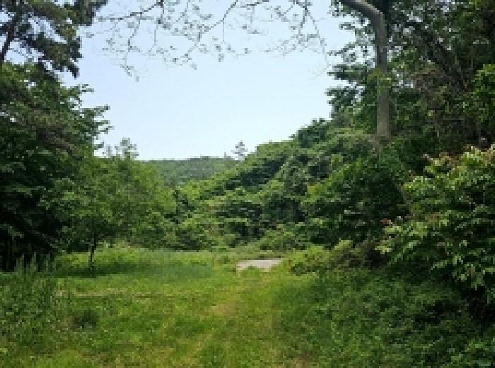 2025타경50468 법원경매 사진6 | 전남 진도군 답 경매