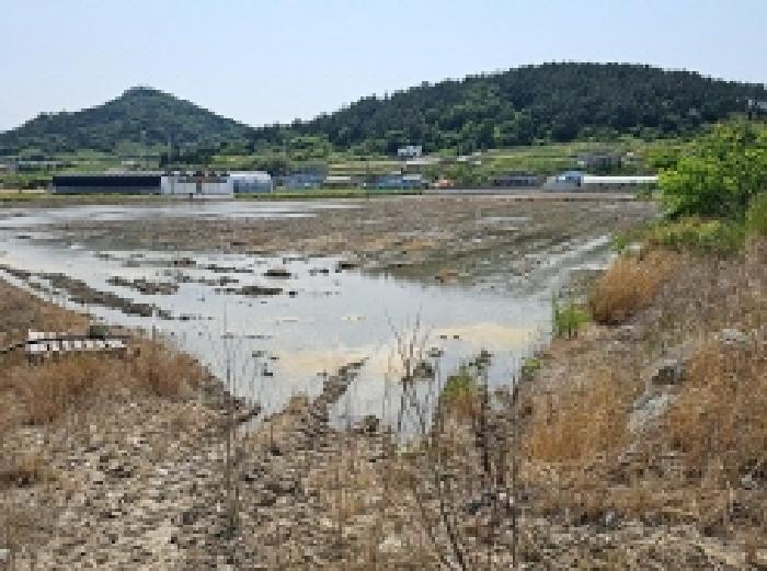 2025타경50468 법원경매 사진7 | 전남 진도군 답 경매