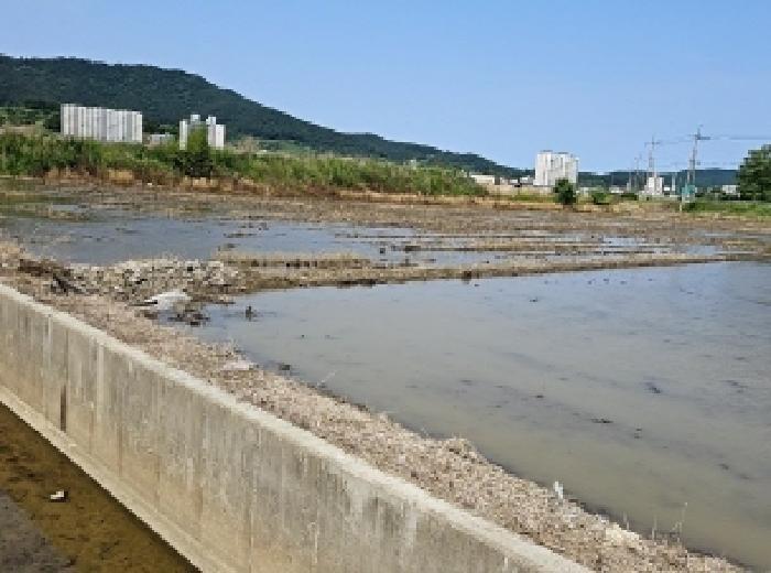 2025타경50468 법원경매 사진8 | 전남 진도군 답 경매