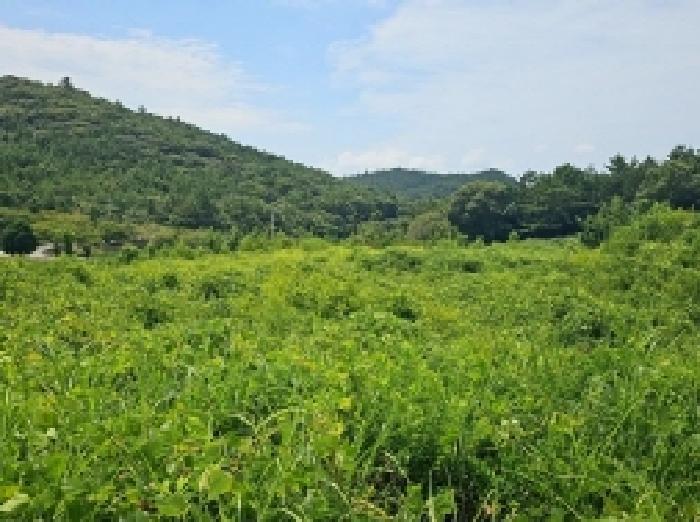 2025타경50584 법원경매 사진3 | 전남 해남군 대지 경매