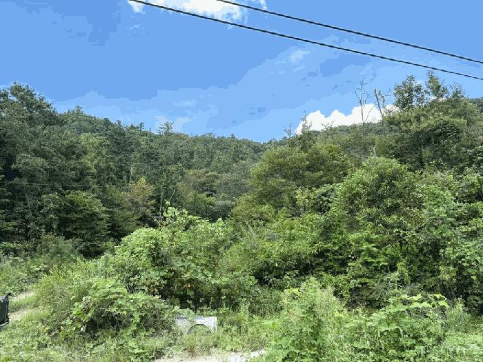 전라남도 해남군 현산면 일평리 산24-2 법원경매 물건 대표사진