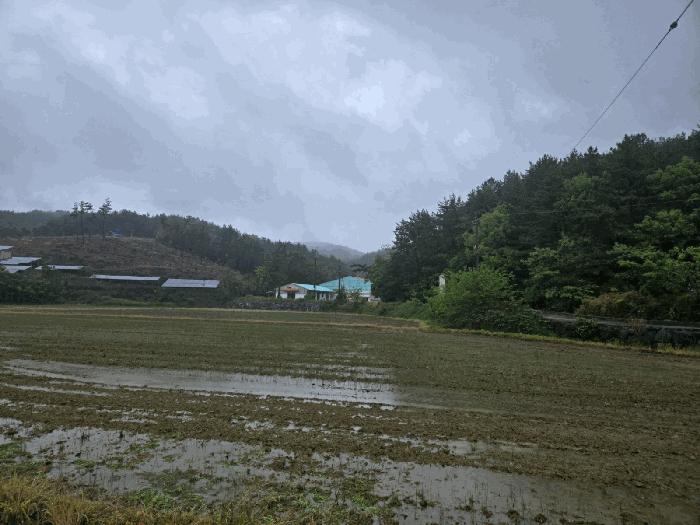 경상남도 사천시 서포면 구랑리 509-1 법원경매 물건 대표사진