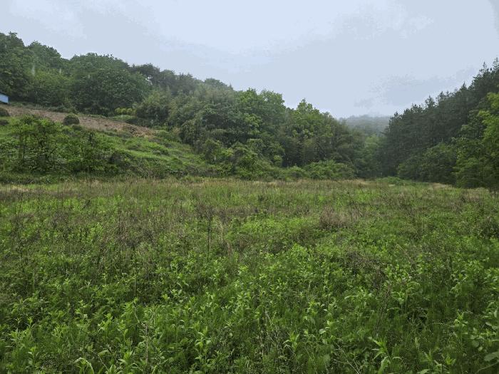 2025타경658 법원경매 사진2 | 경남 사천시 기타 경매