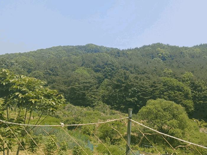 경상남도 산청군 신안면 안봉리 산224-2 법원경매 물건 대표사진