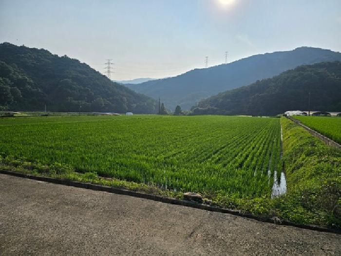 법원경매 2025타경684 사진10 | 산청군 신안면 안봉리 임야 경매
