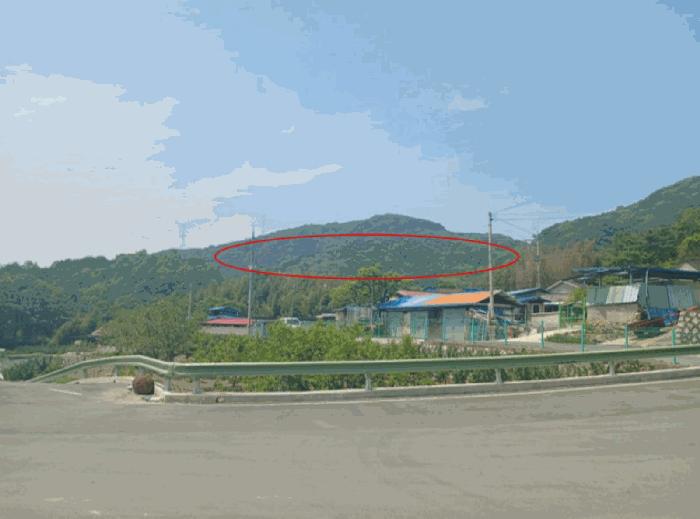 법원경매 2025타경684 사진6 | 산청군 신안면 안봉리 임야 경매