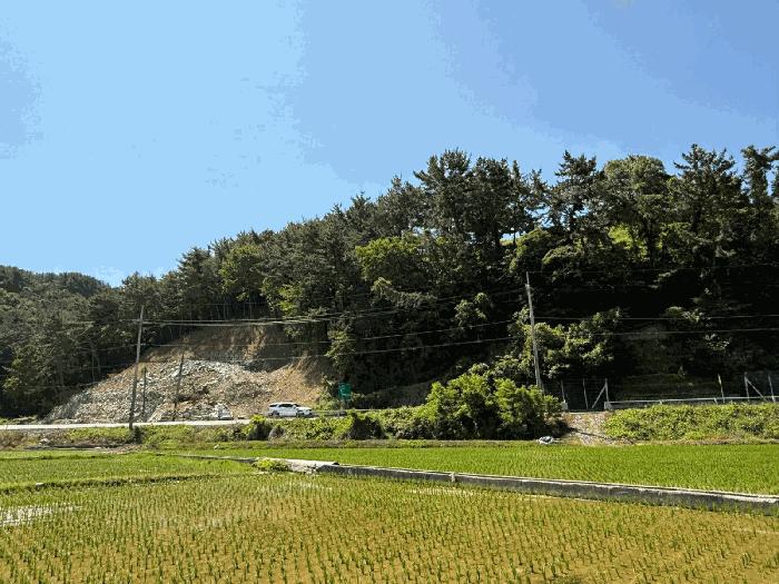2025타경700 법원경매 사진7 | 경남 남해군 임야 경매