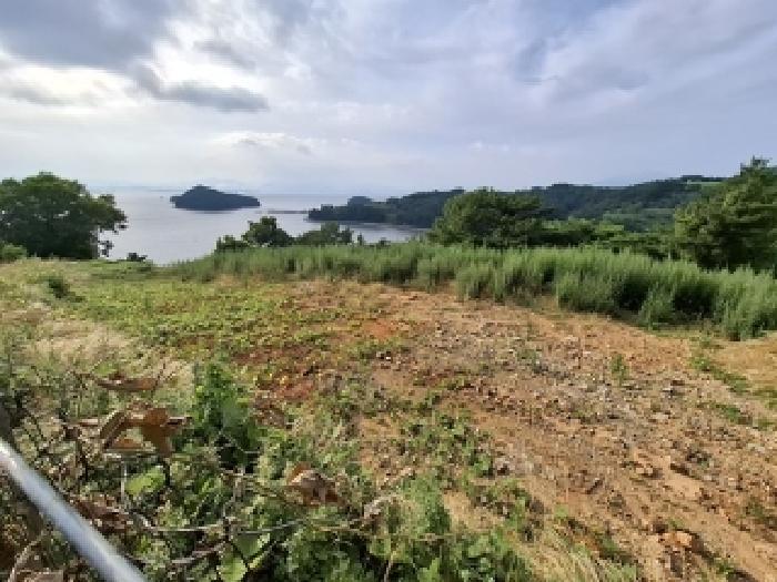2025타경700 법원경매 사진8 | 경남 남해군 임야 경매