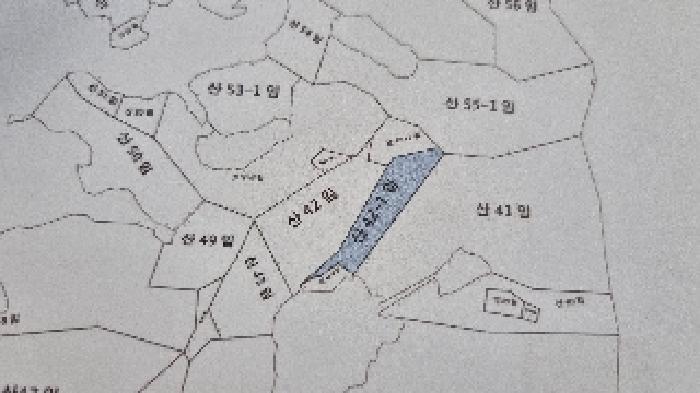 2025타경30240 법원경매 사진6 | 전북 남원시 임야 경매