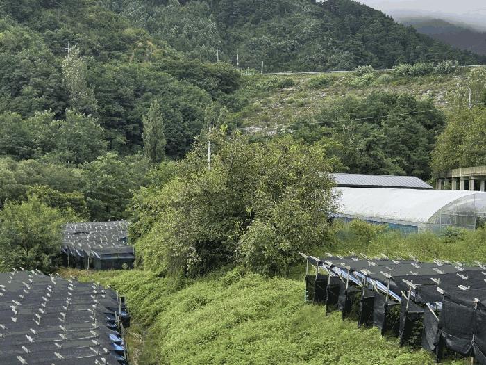 법원경매 2025타경30242 사진3 | 장수군 계북면 원촌리 186 답 경매