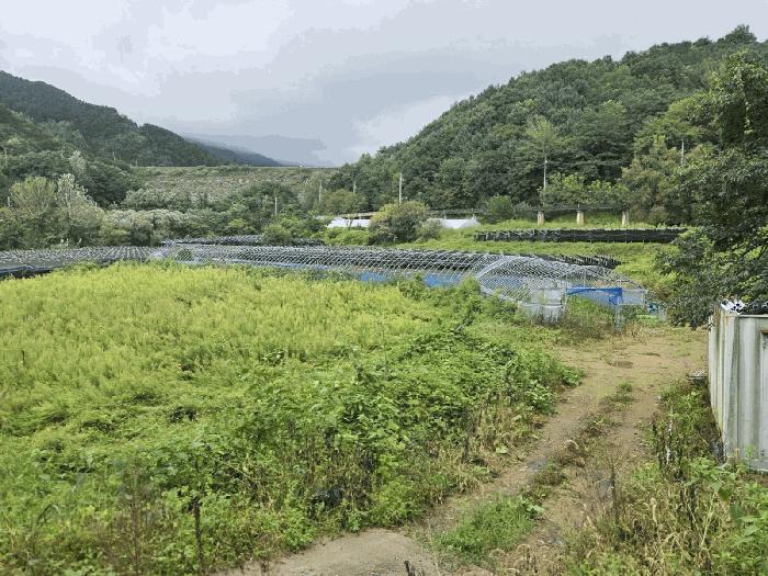 전북특별자치도 장수군 계북면 원촌리 1520 법원경매 물건 대표사진