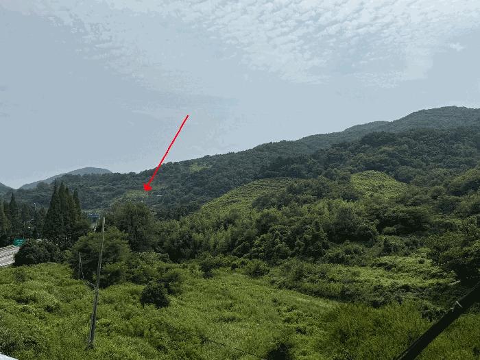 2025타경51919 법원경매 사진11 | 전남 광양시 임야 경매