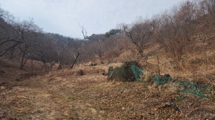 2025타경51919 법원경매 사진7 | 전남 광양시 임야 경매