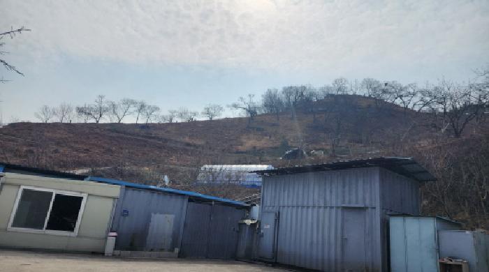 2025타경51919 법원경매 사진9 | 전남 광양시 임야 경매