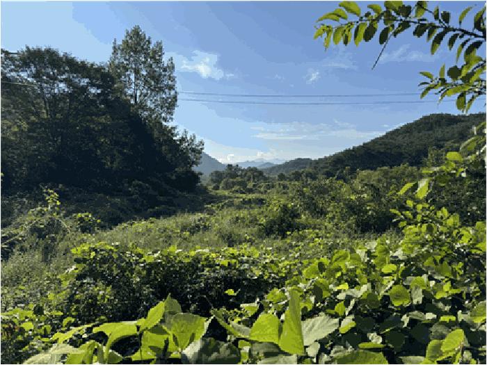 전북특별자치도 순창군 적성면 석산리 279-4 법원경매 물건 대표사진