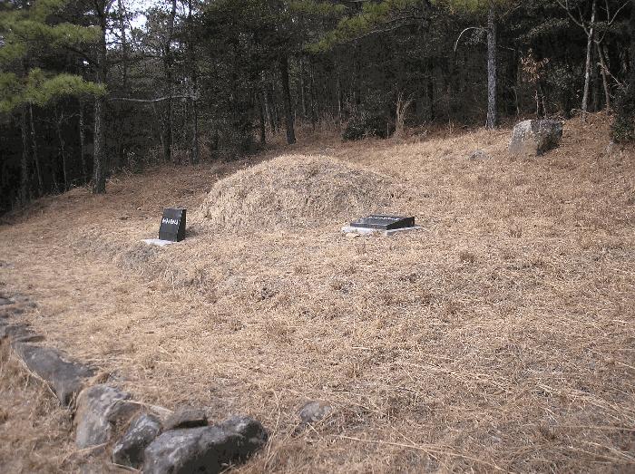 전남 순천시 왕지동 산61 임야 사진 3