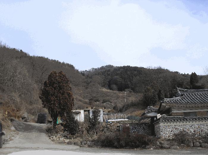 전남 순천시 왕지동 산61 임야 사진 5