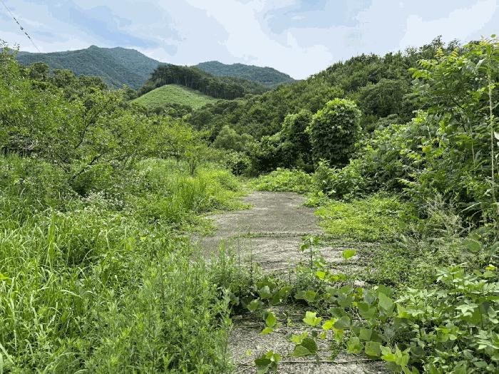 경남 하동군 화개면 탑리 150-1 답 사진 3