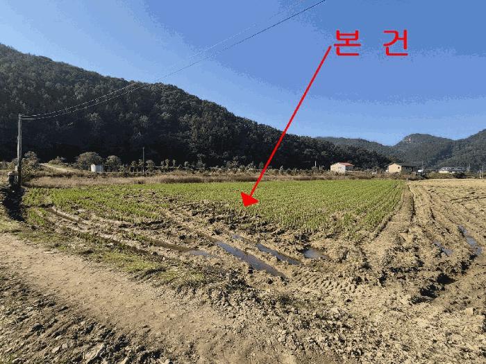2025타경31835 법원경매 사진4 | 전북 완주군 전 경매