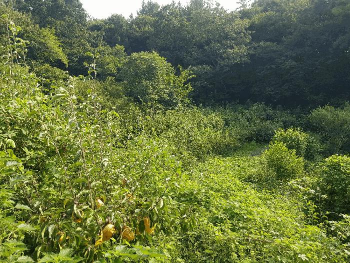 경남 진주시 정촌면 예상리 144 답 사진 2