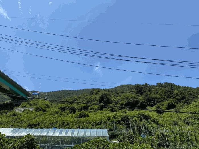 2025타경21527 법원경매 사진3 | 경남 거제시 임야 경매