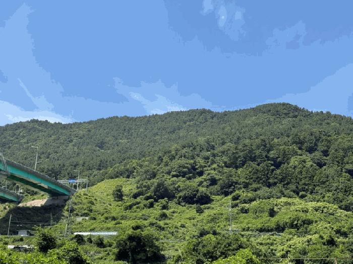 2025타경21527 법원경매 사진4 | 경남 거제시 임야 경매