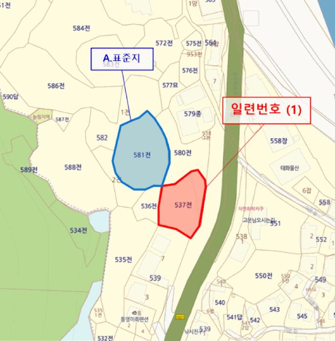 법원경매 2025타경21649 사진10 | 통영시 산양읍 영운리 537 전 경매