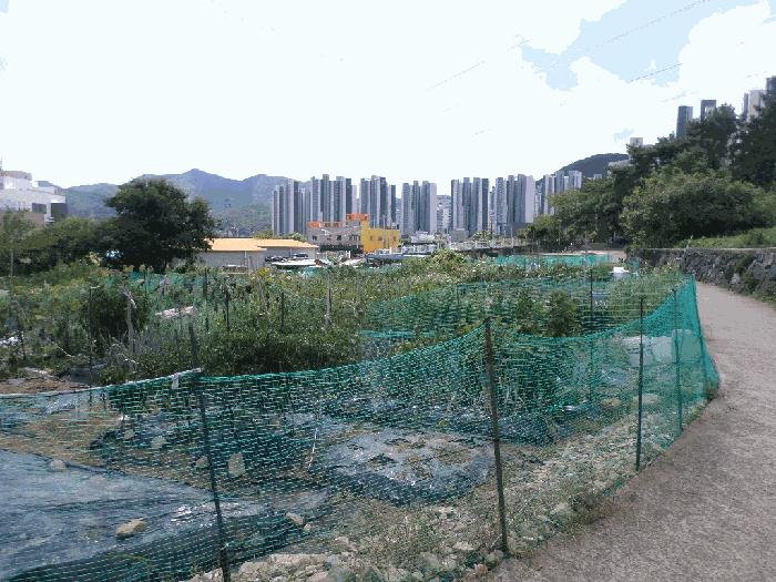 경상남도 거제시 상동동 726 법원경매 물건 대표사진