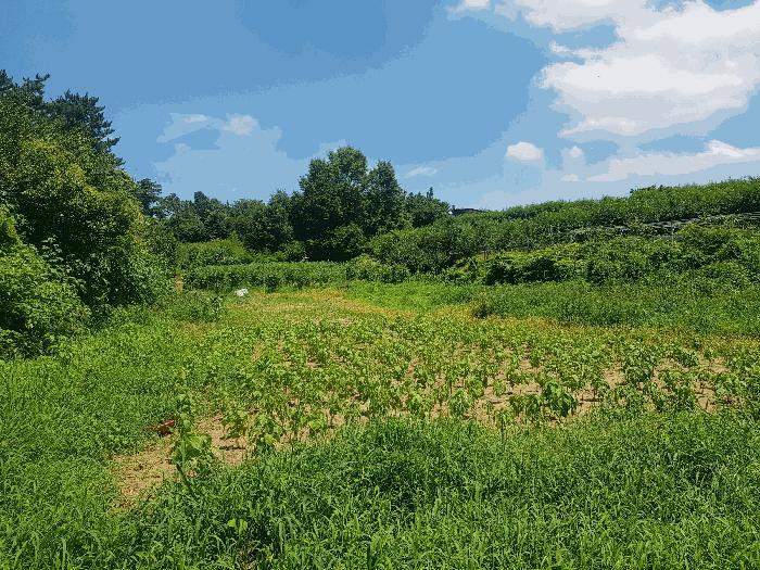 2025타경31036 법원경매 사진5 | 경남 진주시 전 경매