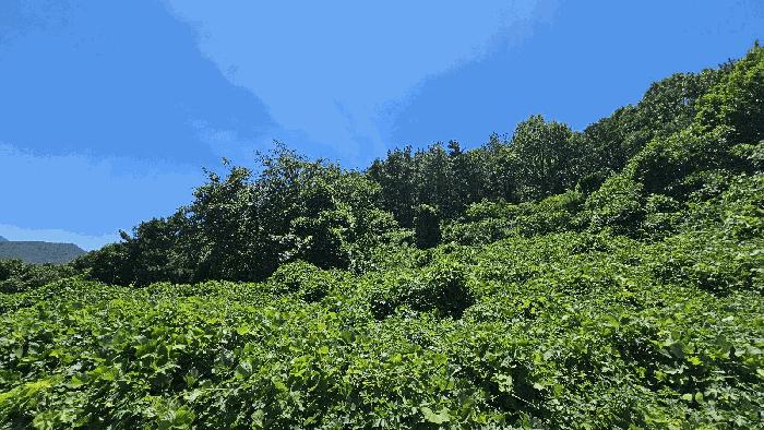 경남 남해군 남면 죽전리 72-1 전 경매 물건 사진