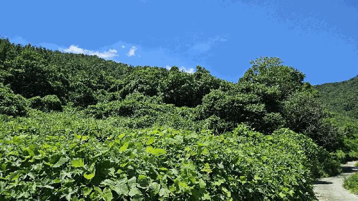 경남 남해군 남면 죽전리 72-1 전 사진 3