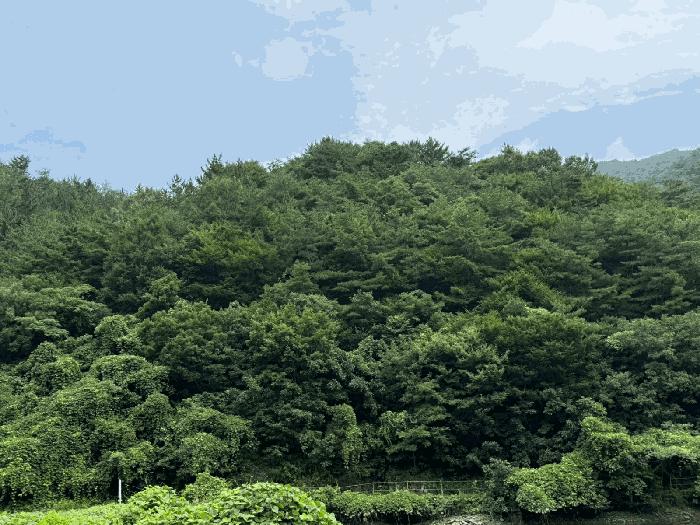 경남 진주시 이반성면 길성리 산8 임야 경매 물건 사진