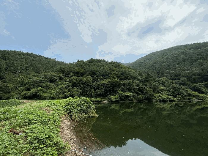 경남 진주시 이반성면 길성리 산8 임야 사진 3