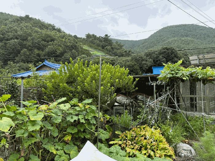 경남 진주시 이반성면 길성리 산8 임야 사진 5
