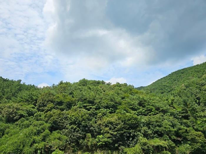 경남 진주시 이반성면 길성리 산8 임야 사진 6