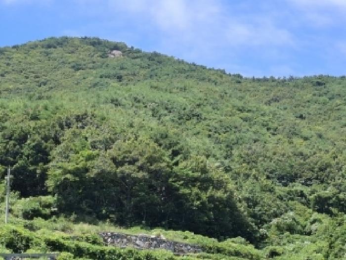 경상남도 남해군 미조면 송정리 산58-13 법원경매 물건 대표사진