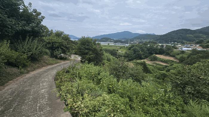 2025타경31082 법원경매 사진2 | 경남 남해군 전 경매